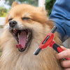 Pet Grooming Brushes for Dogs and Cats 