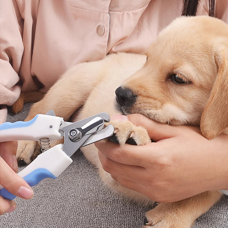 Pet Nail  Trimmer Grooming Tool