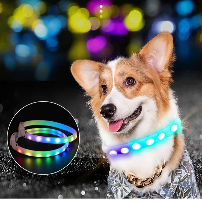 Led Glowing Luminous pet Collar 