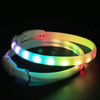 Led Glowing Luminous pet Collar 