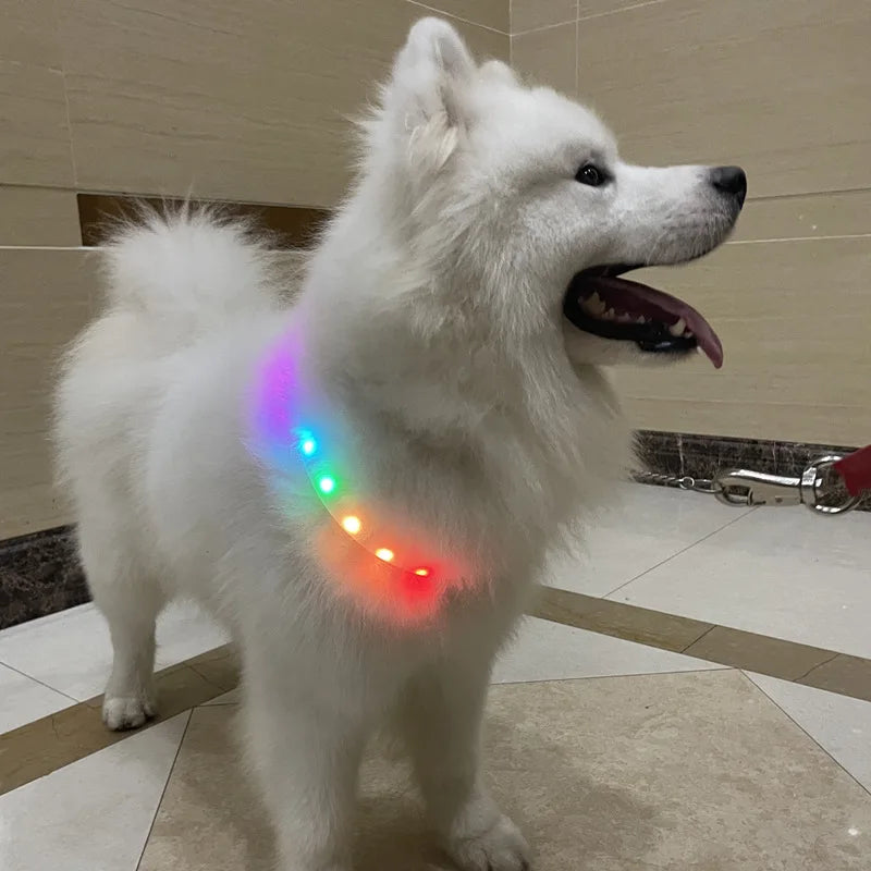 Led Glowing Luminous pet Collar 